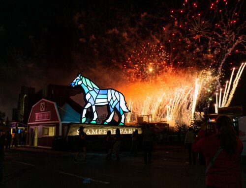 Calgary Stampede Entry Features 2025